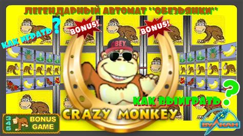 crazy monkey на деньги 99999